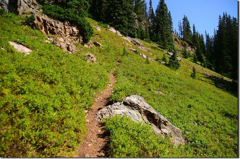 Clayton Lake Trail