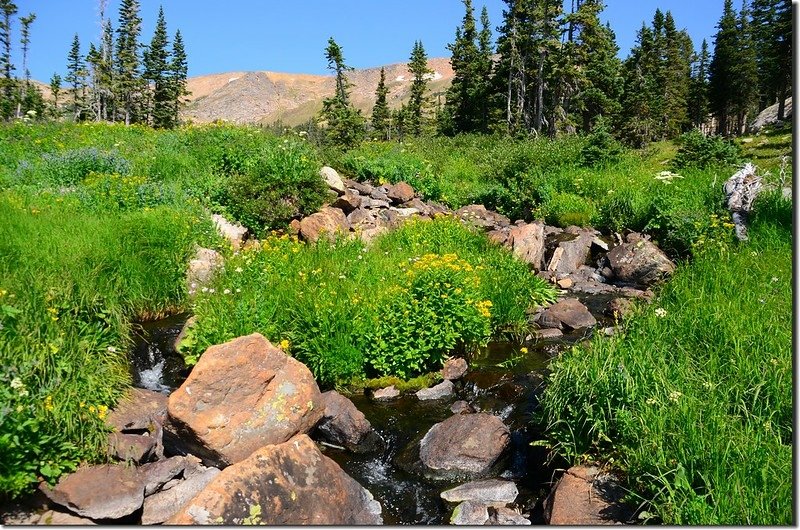 Clayton Lake outlet