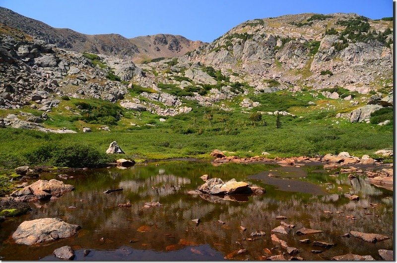 The wetland below Iceberg Lake (2)