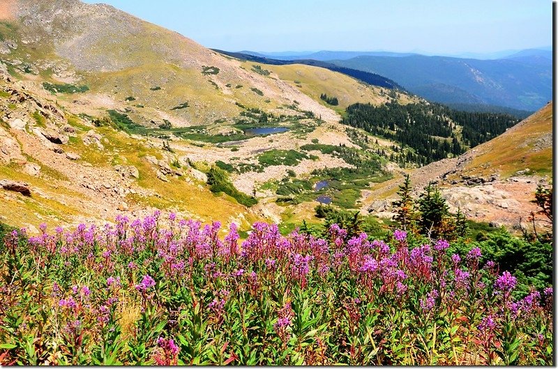 View down valley from the south shore of South Iceberg Lake