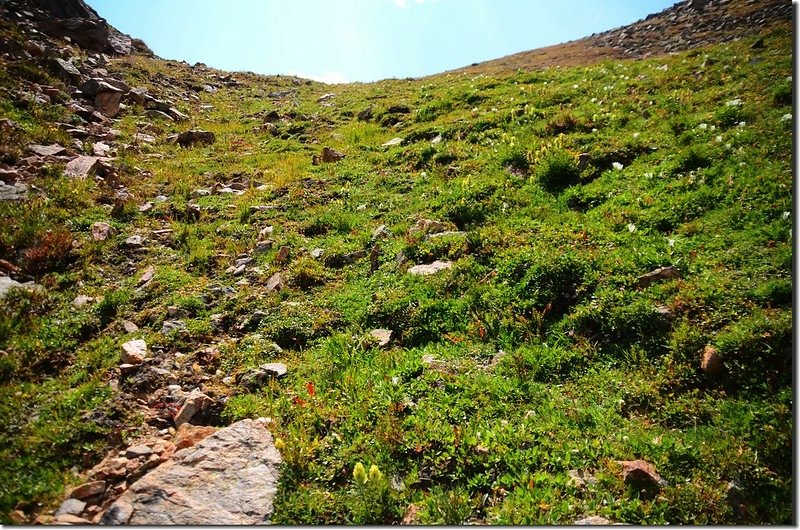 Looking up at the tundra slope from the middle slope