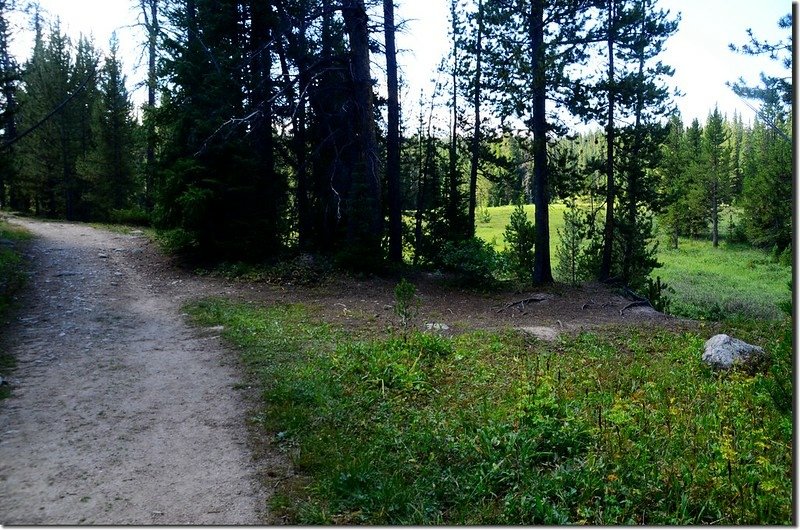 The meadow along the trail 1