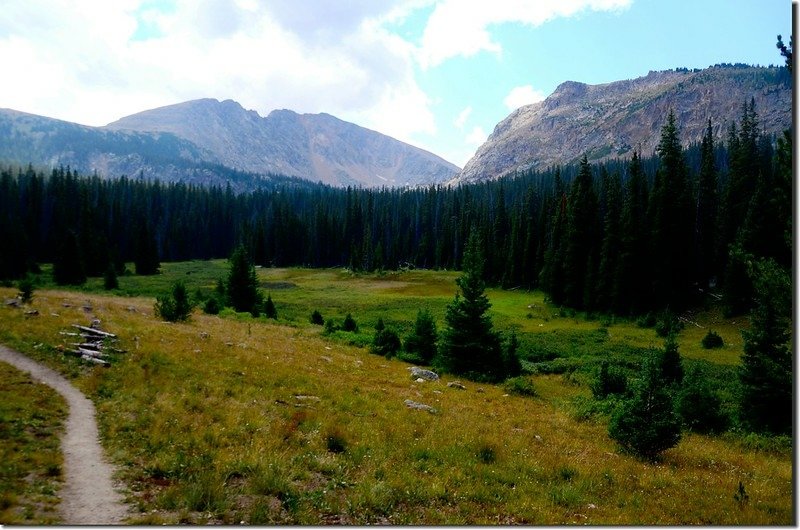 The meadow along the trail 3