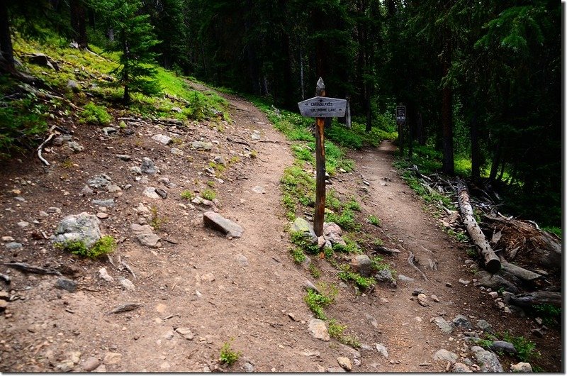 Caribou Pass Trail &amp; Columbine Lake Trail junction