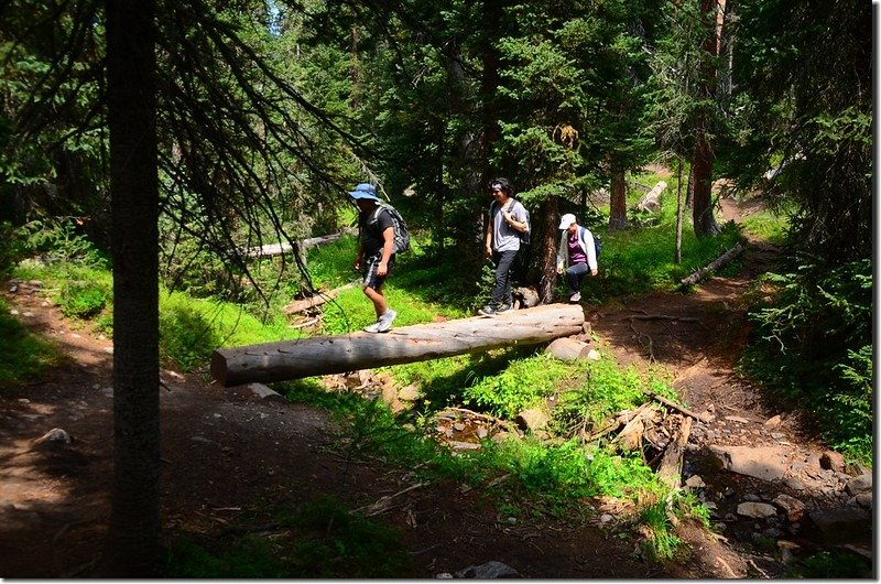 Columbine Lake Trail (2)