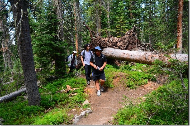 Columbine Lake Trail (5)