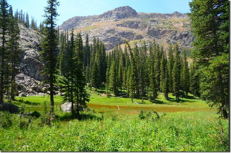 The meadow along the trail 5