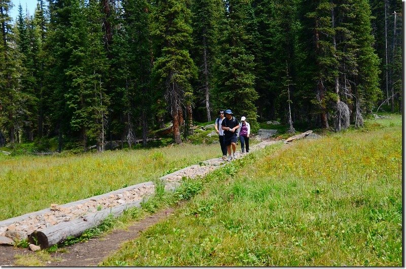 Columbine Lake Trail (6)