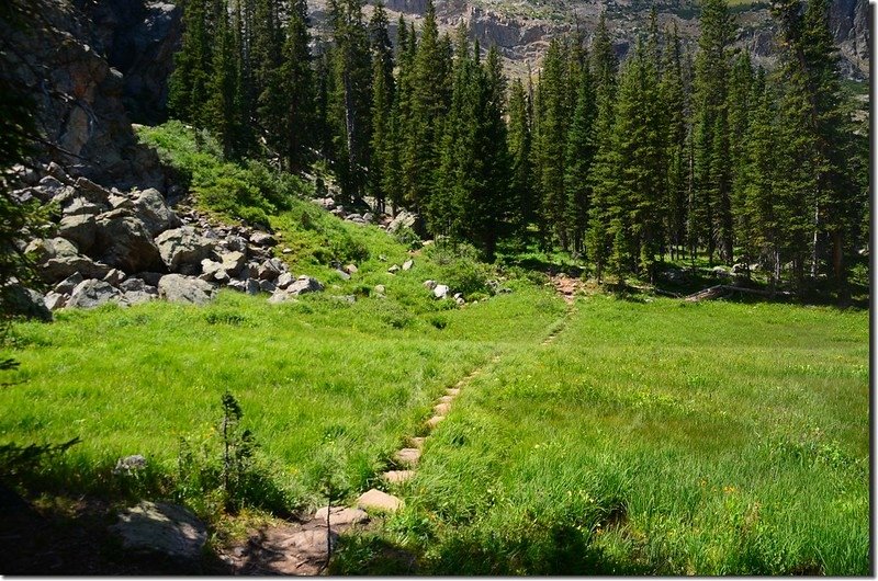 Columbine Lake Trail (7)