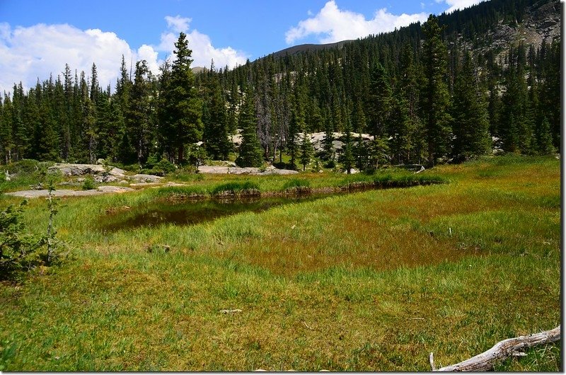 The pond at the meadow below Columbine Lake