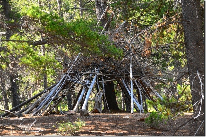 Amazing shelters along the trail