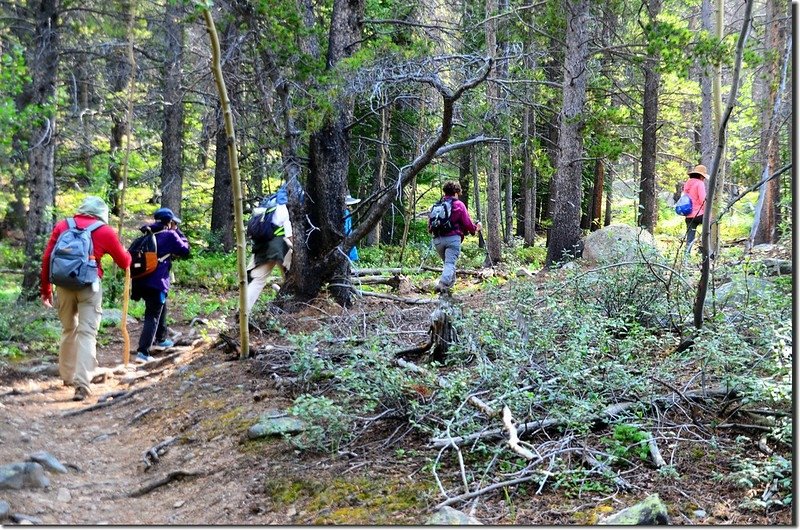 Shelf Lake Trail (12)