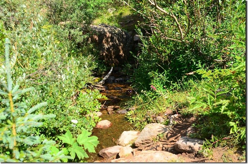 Shelf Lake Trail (4)