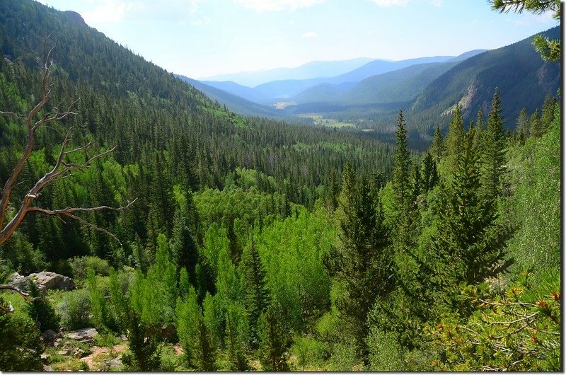 Looking down at Kirby Ggulch from the trail 2