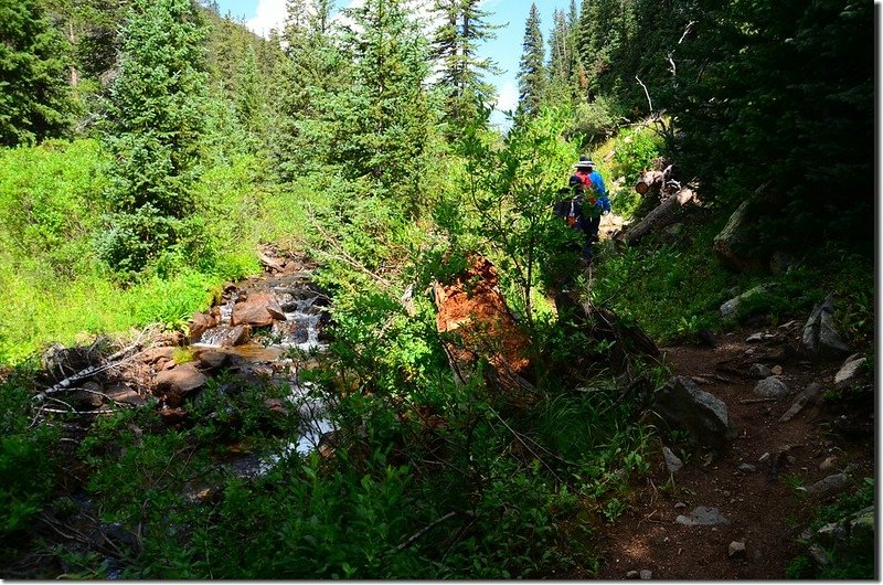 Shelf Lake Trail (36)