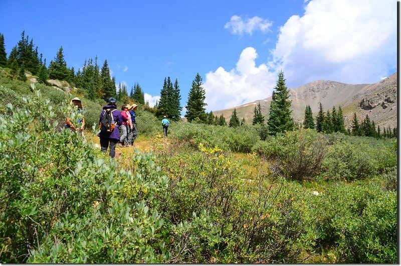 Shelf Lake Trail (46)