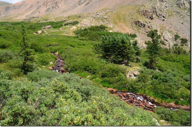 Looking down Smelter Gulch cascade from the trail near 11,480&apos;