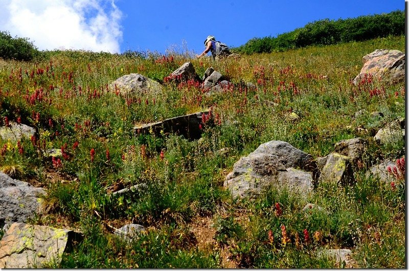 Taken from Shelf Lake Trail (13)