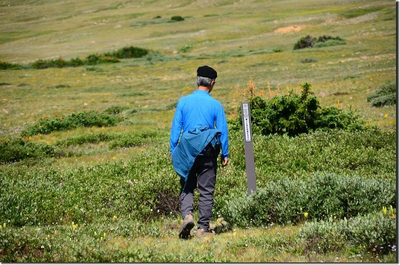 Crossing the wetland at James&apos; east slope (1)