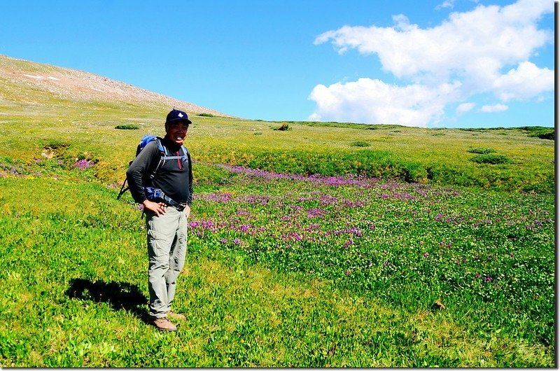 Wildflowers are Blooming along James Peak Trail (21)