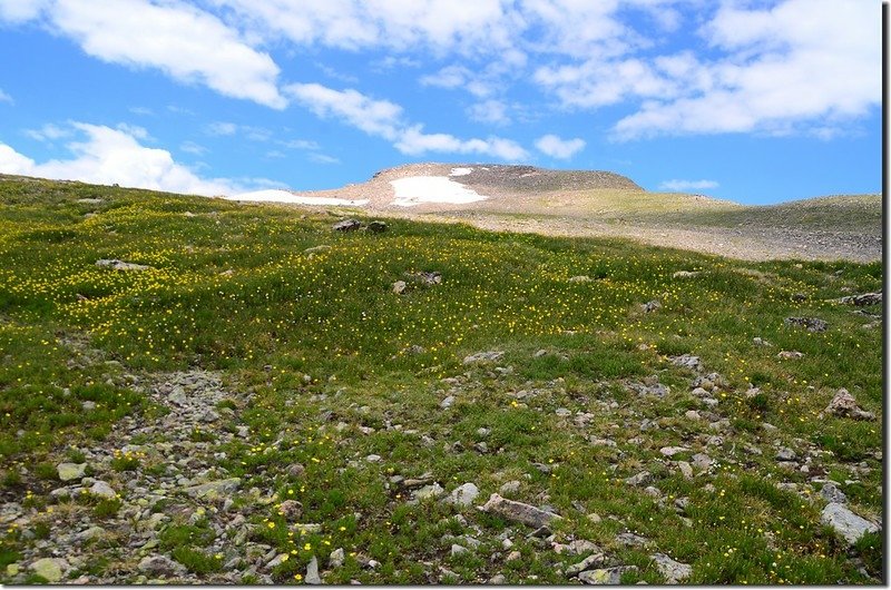 Looking at the summit of James Peak from the trail (3)