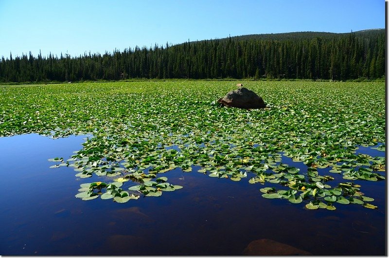 Red Rock Lake (8)