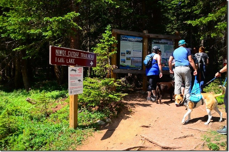 Niwot Cutoff Trailhead