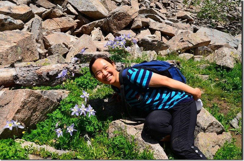 Wildflowers blooming along Lake Isabelle Trail (1)