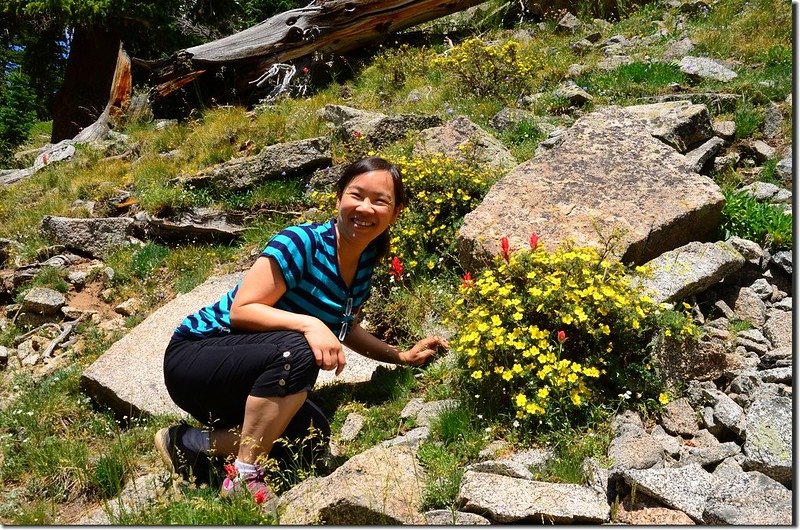 Wildflowers blooming along Lake Isabelle Trail (2)