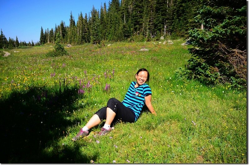 Wildflowers blooming along Jean Luning Trail (2)