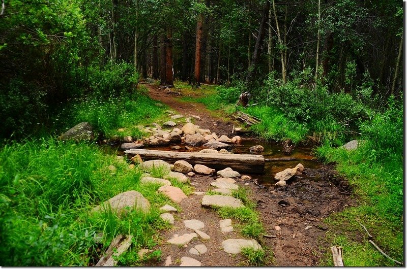 Crossing stream on rocks