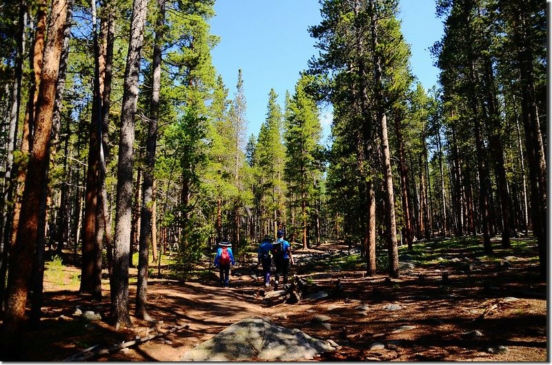 Abyss Lake Trail (5)