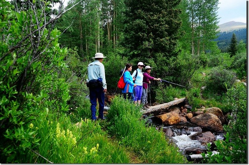 The third bridge crosses Scott Gomer Creek 1