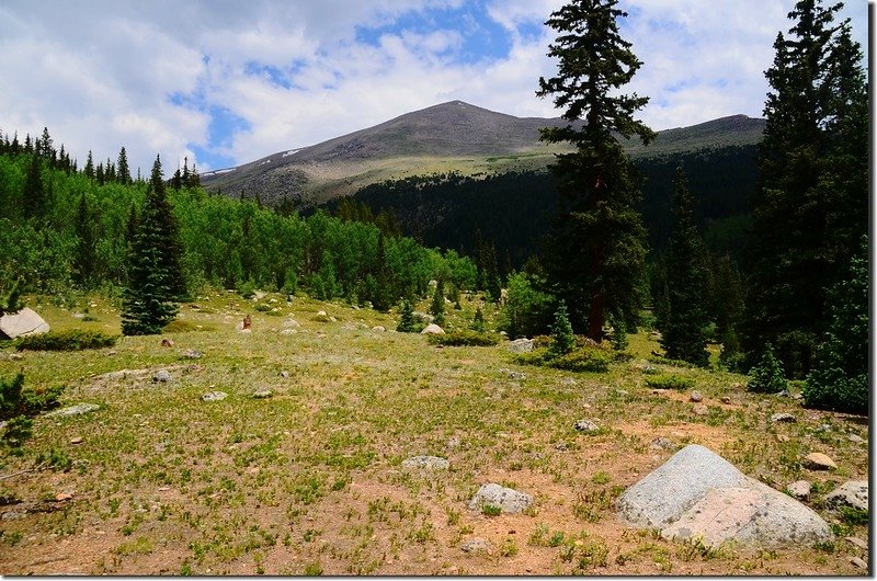 Open meadows at the convergence of two valleys near the Rosalie Trail split (2)