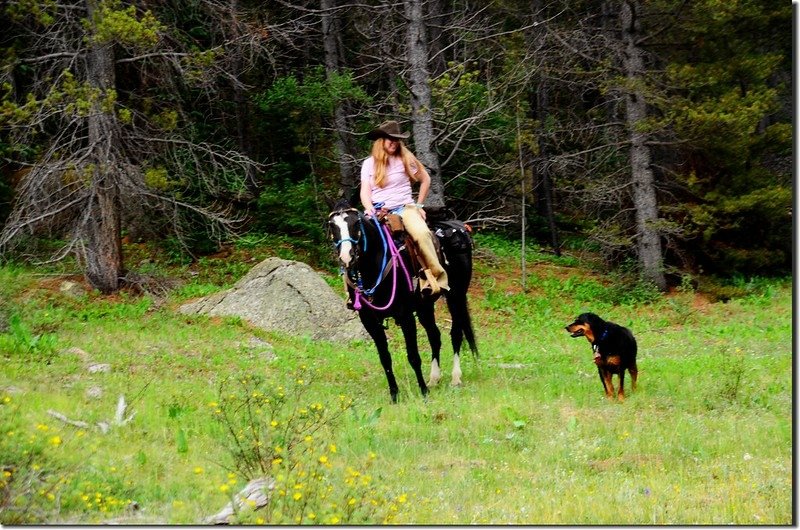 Rider and dog (1)