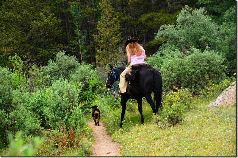 Rider and dog (2)