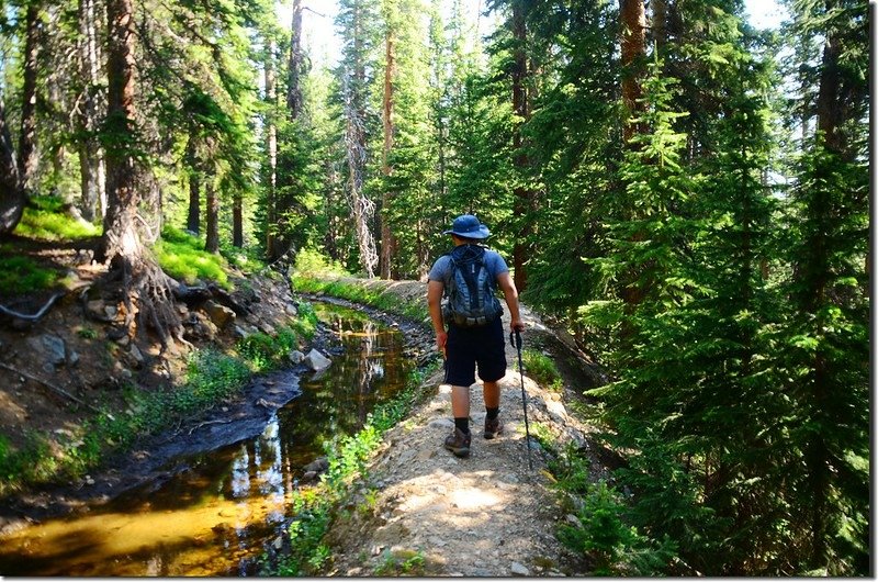 Berthoud Pass Ditch Road (6)