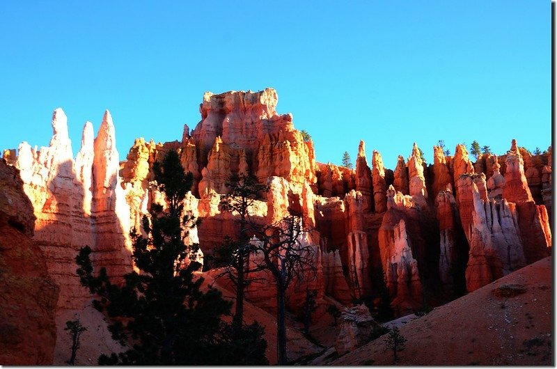 Queens Navajo Combination Loop，Bryce Canyon (6)