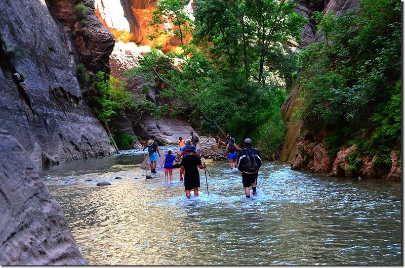 The Narrows, Zion National Park (3)