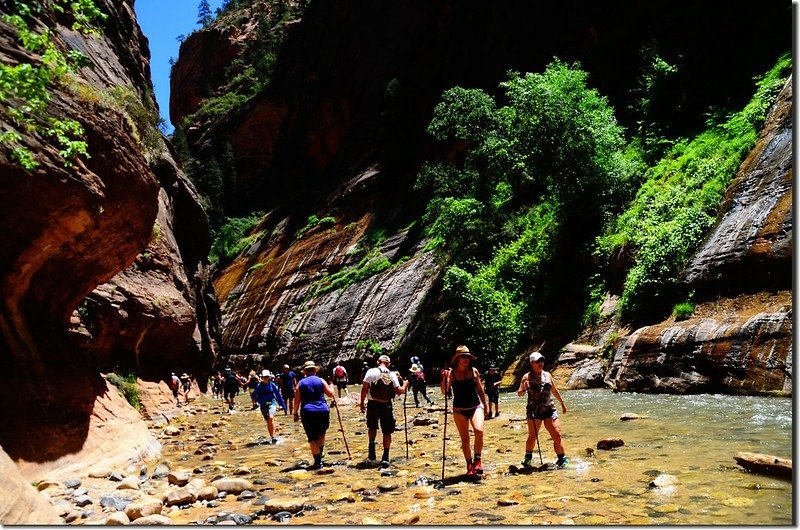 The Narrows, Zion National Park (62)