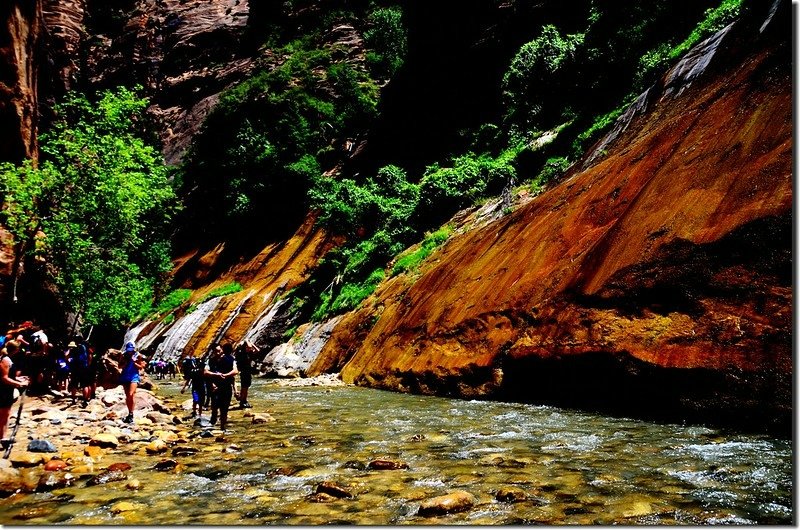 The Narrows, Zion National Park (59)