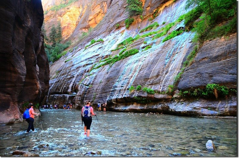 The Narrows, Zion National Park (8)