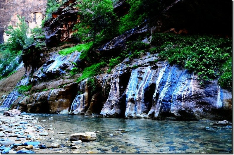 The Narrows, Zion National Park (13)