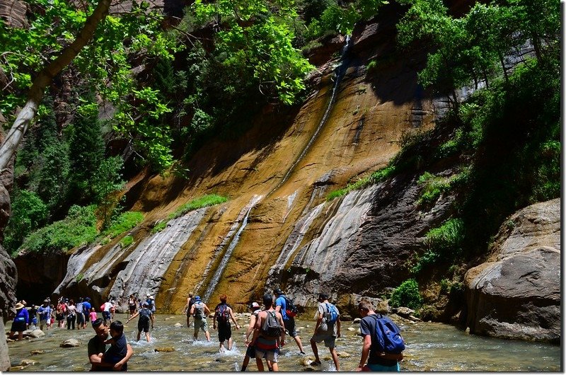 Mystery Canyon Falls,The Narrows, Zion National Park (5)