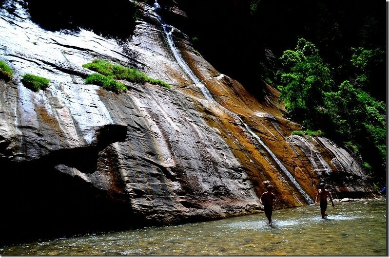 Mystery Canyon Falls,The Narrows, Zion National Park (2)