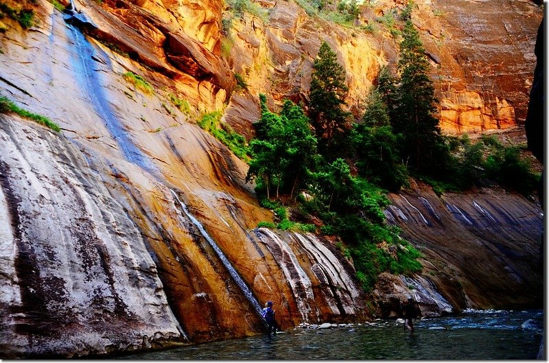 Mystery Canyon Falls,The Narrows, Zion National Park (1)