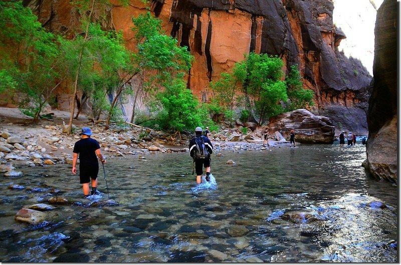 The Narrows, Zion National Park (15)