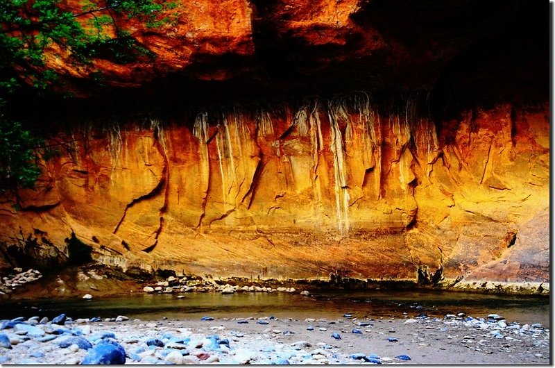 The Narrows, Zion National Park (20)