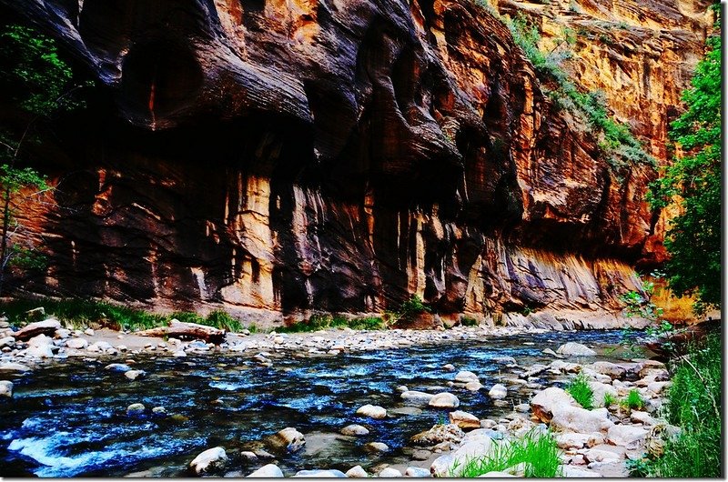 The Narrows, Zion National Park (21)