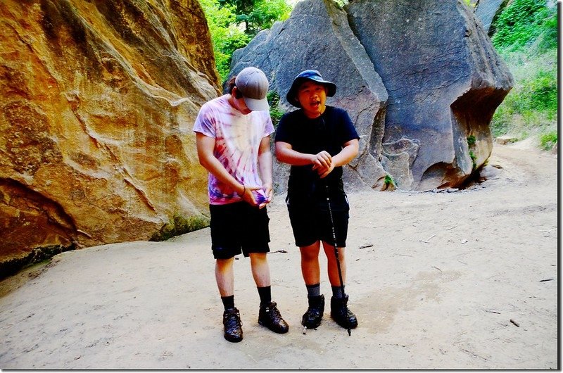 The Narrows, Zion National Park (24)